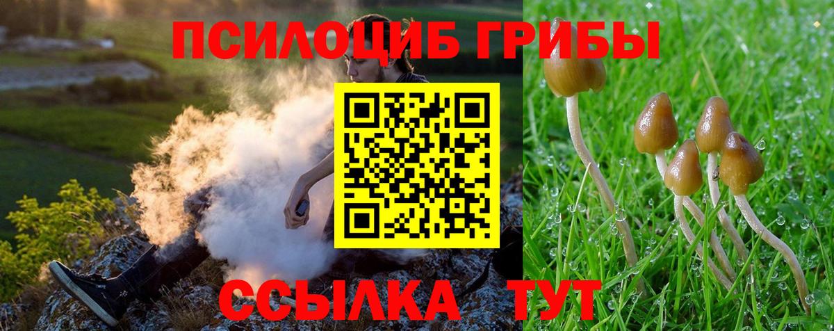 Галлюциногенные грибы GOLDEN TEACHER  Вход с VPN  Мончегорск 
