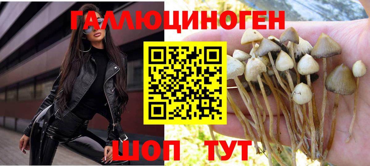 Галлюциногенные грибы прущие грибы Мончегорск